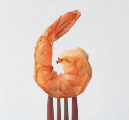 Camarones