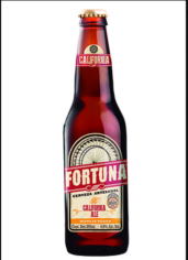 IPPOLITA FORTUNA