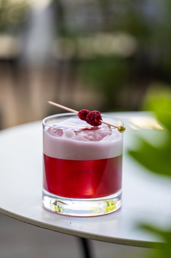 Ягідний джин 259 КУПОН