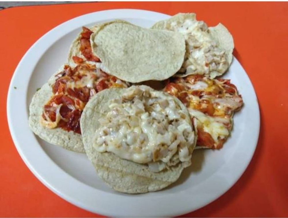 CARBONERO DE PASTOR
