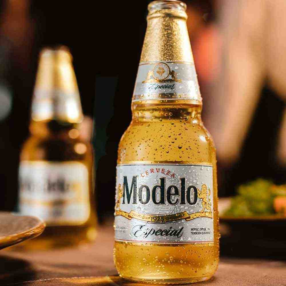 MODELO ESPECIAL 355