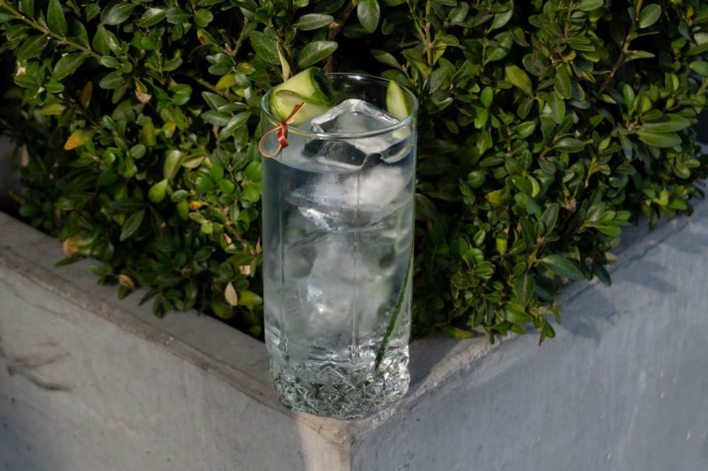 Gin-Tonic,