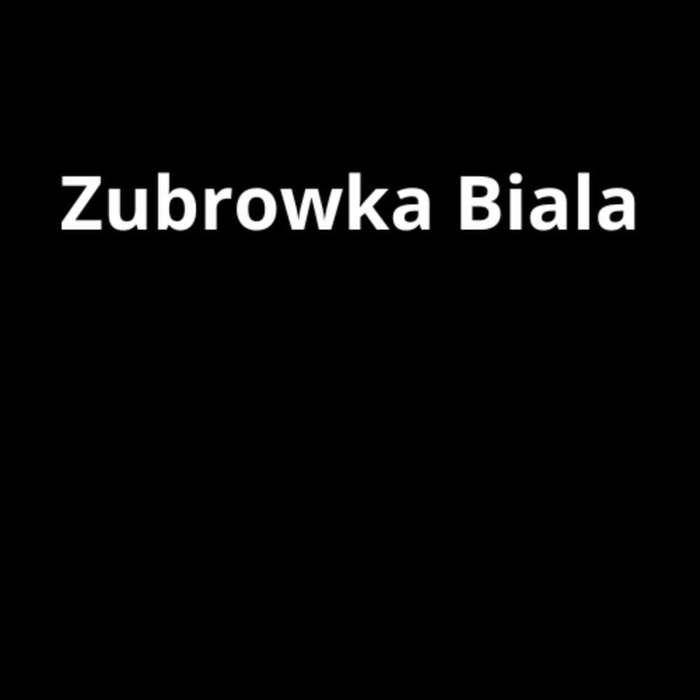 Хлібний кошик