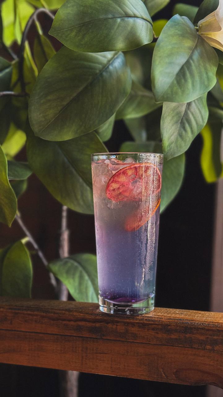 Paloma