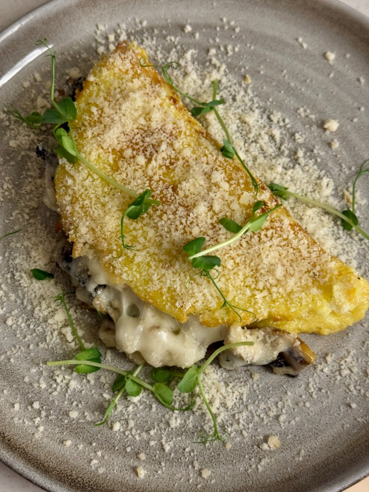 Драник Панський