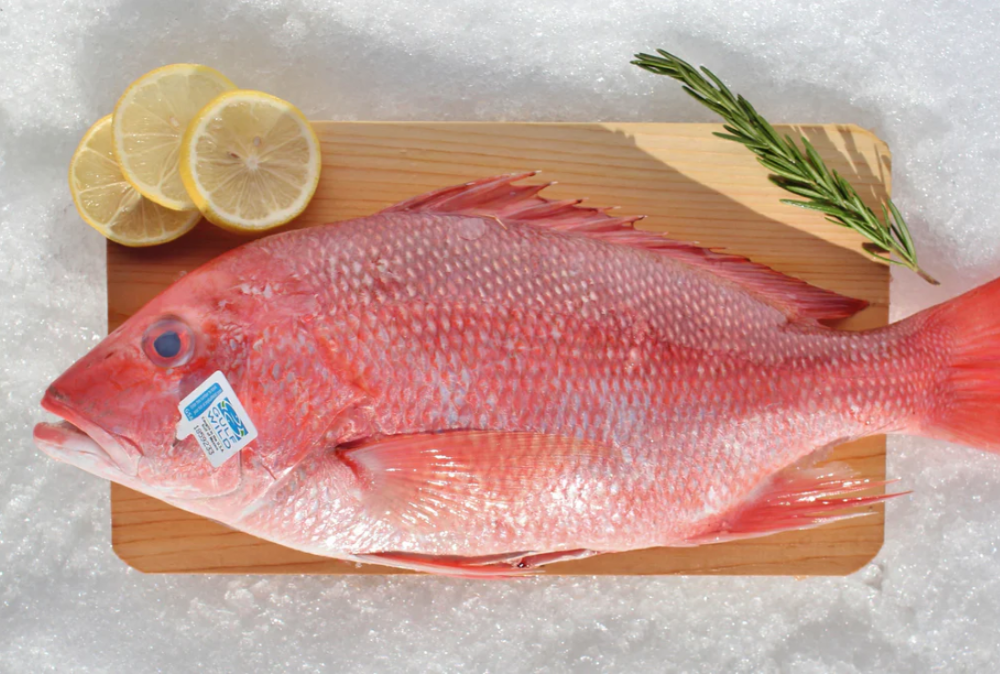 Snapper Red (Whole)