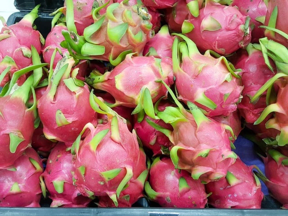 + DRAGON FRUIT 100gr.