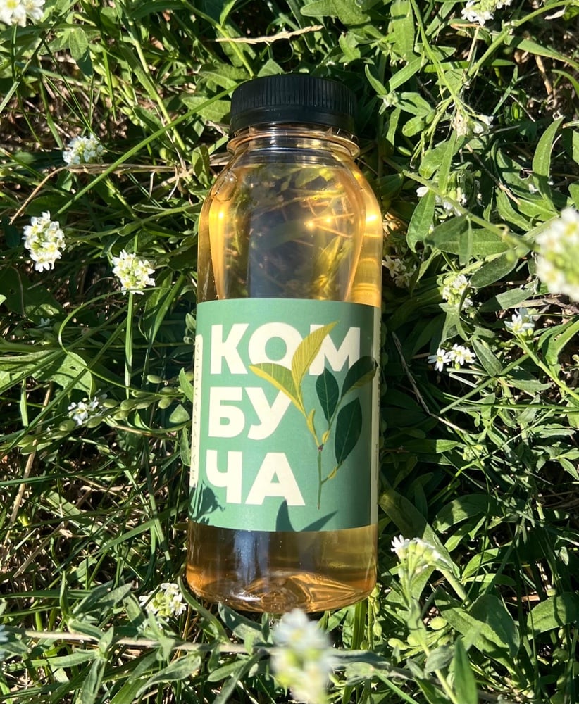 Комбуча класична