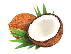 Malibu Coconut