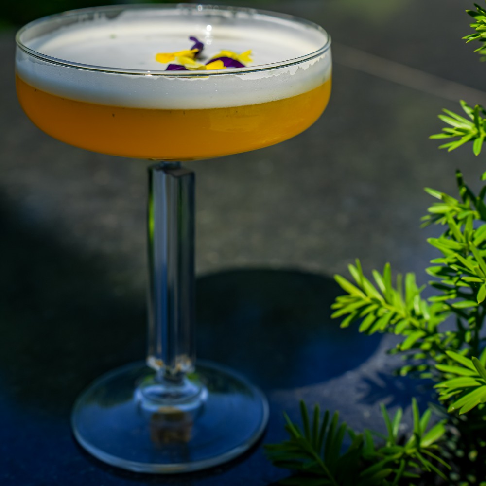 Basil Beauty