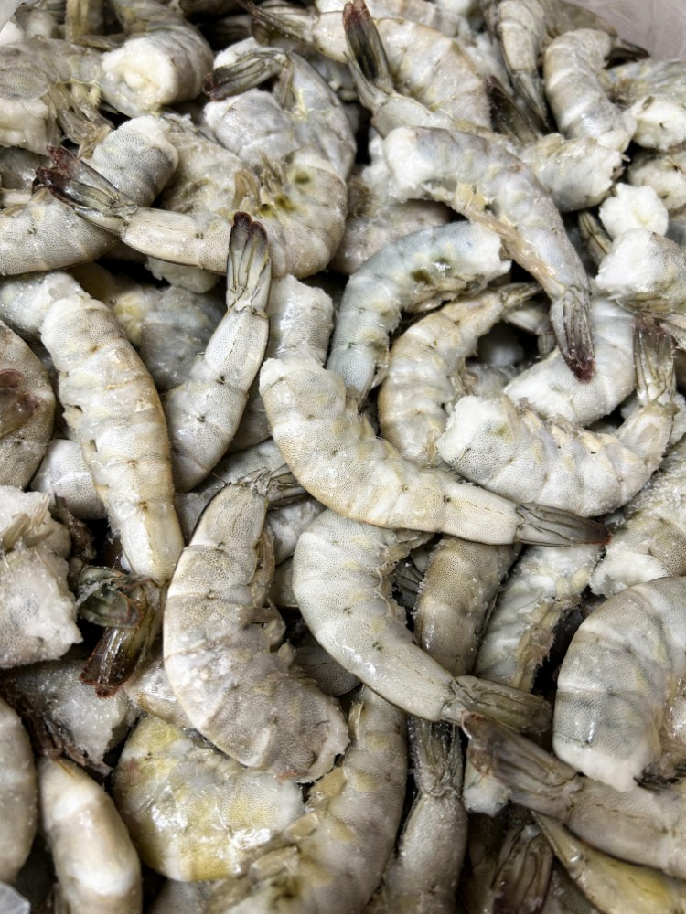 Королівська Креветка в панцирі без голови 31-35