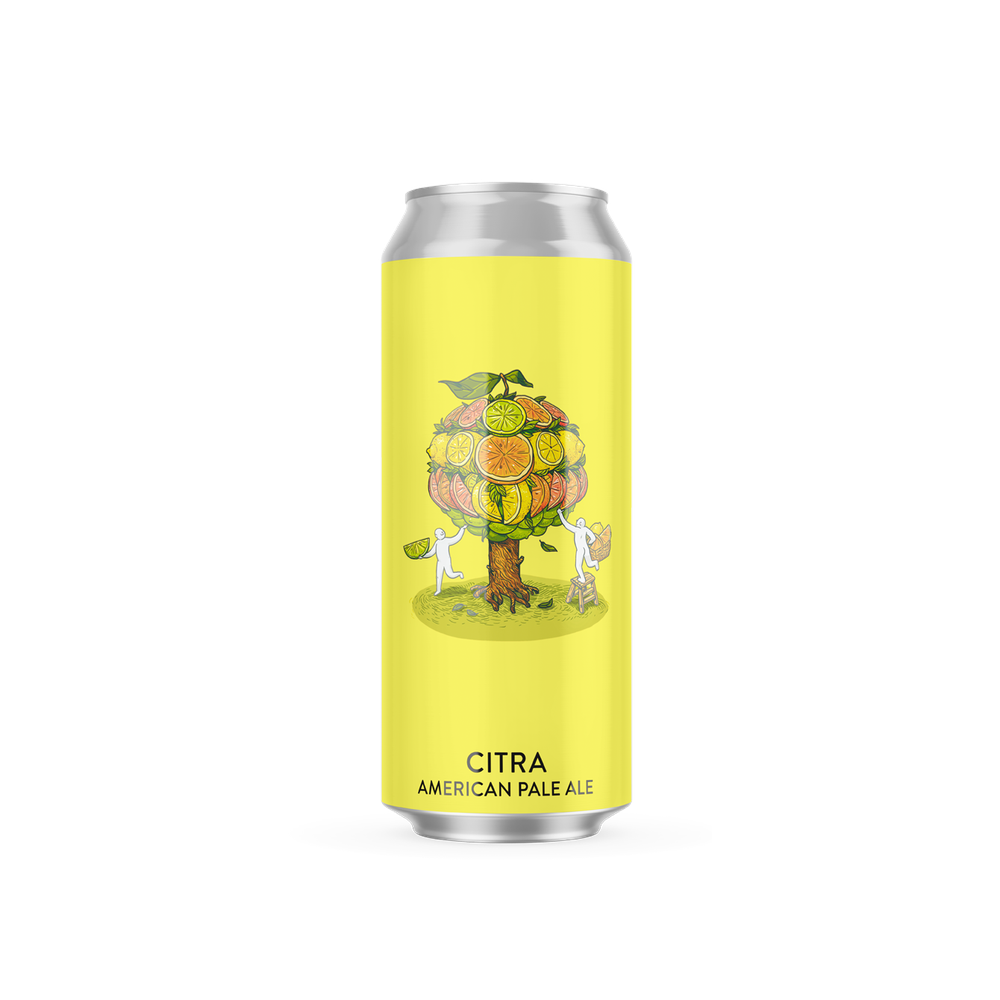 Пиво Varvar Citra APA, ABV 6%, 0.33 л