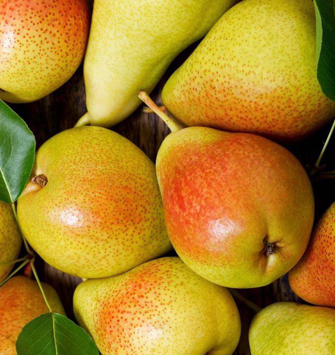Pear
