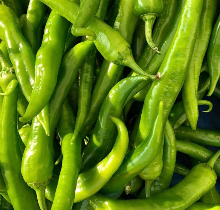 Hot pepper
