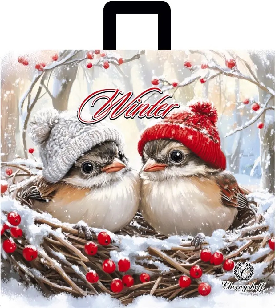 пакет для піци