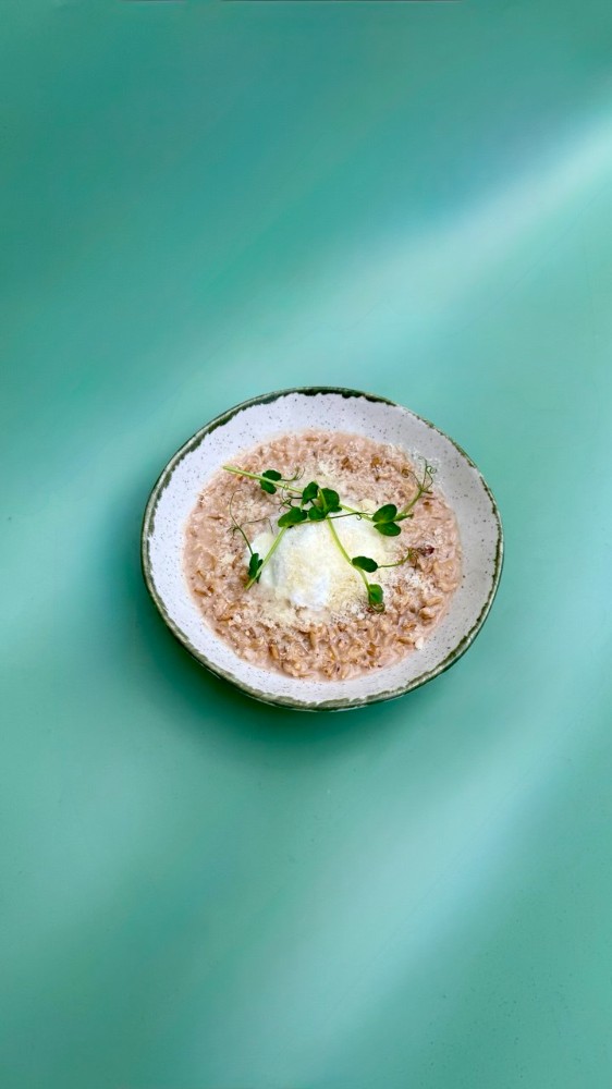 Вівсянка солона