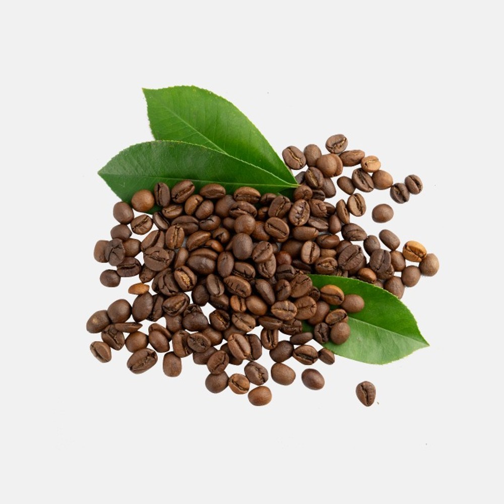 Arabica Specialty Filter (A)
