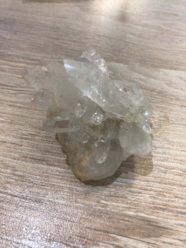 C13