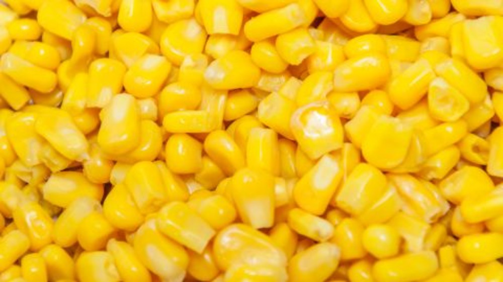 Кукурудза (Доб)