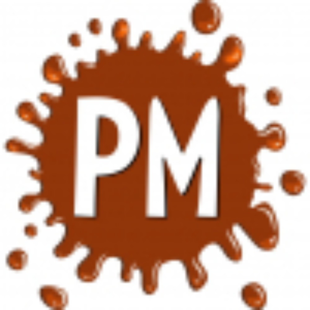 Пиво світле пляшкове 0,33л PM Рибний Борщ 4,2%