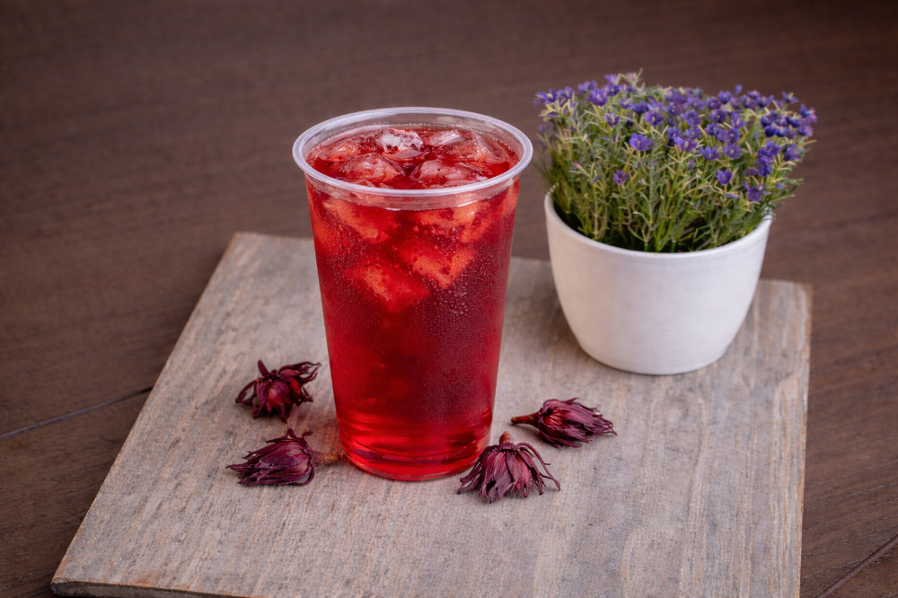 Agua de Jamaica 500ml