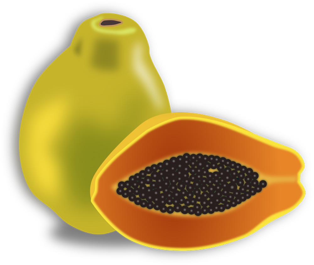 PAPAYA