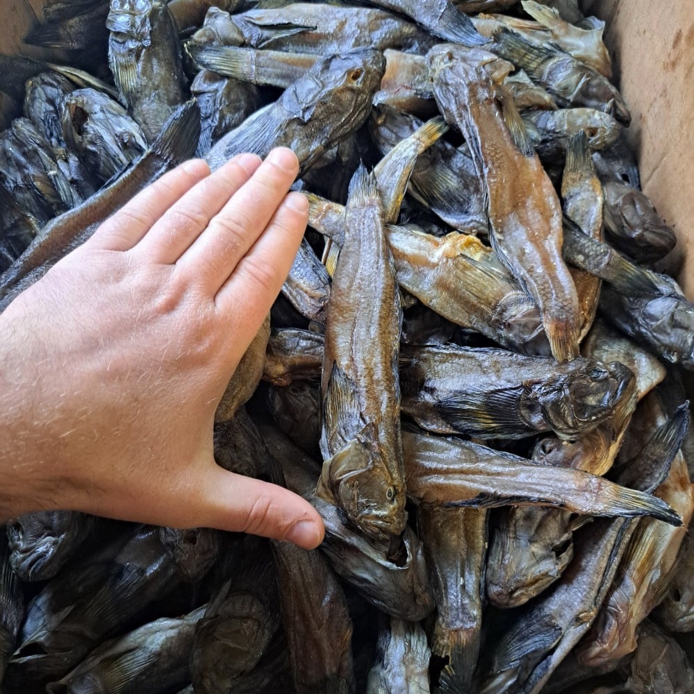 Бичок в'ялений (Нікополь)