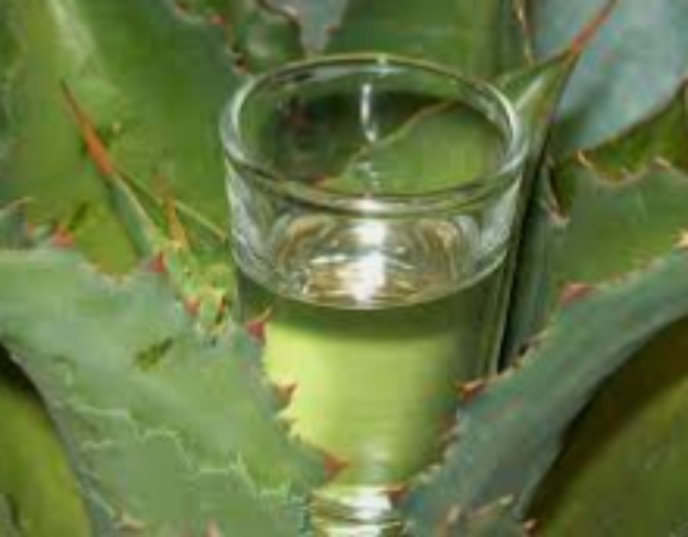 mezcal de la casa