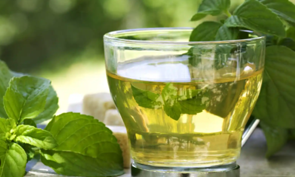 TÉ VERDE Y PLANTAS DE LA HUERTA