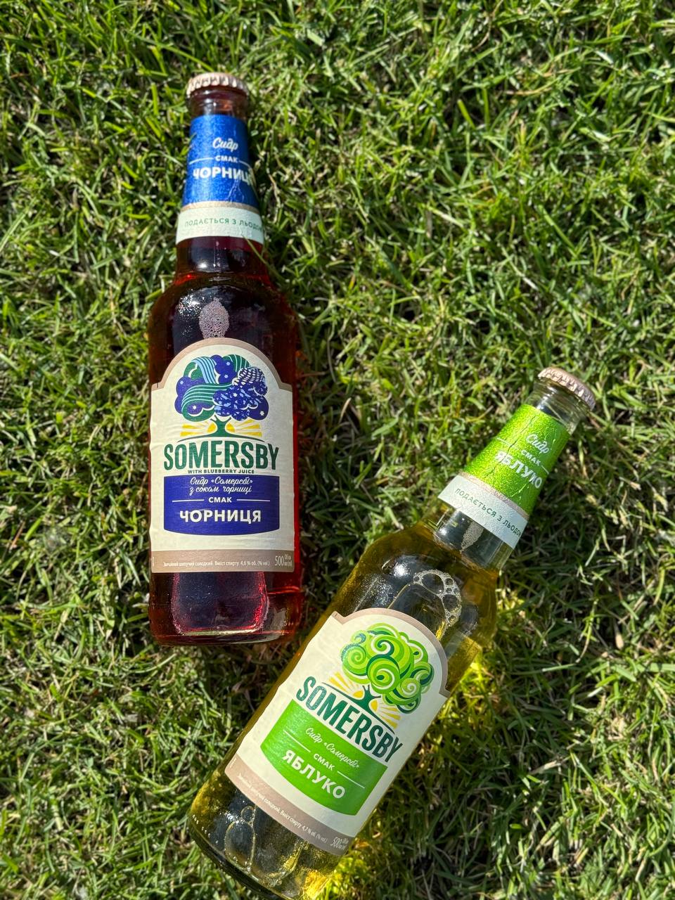 Somersby Чорниця