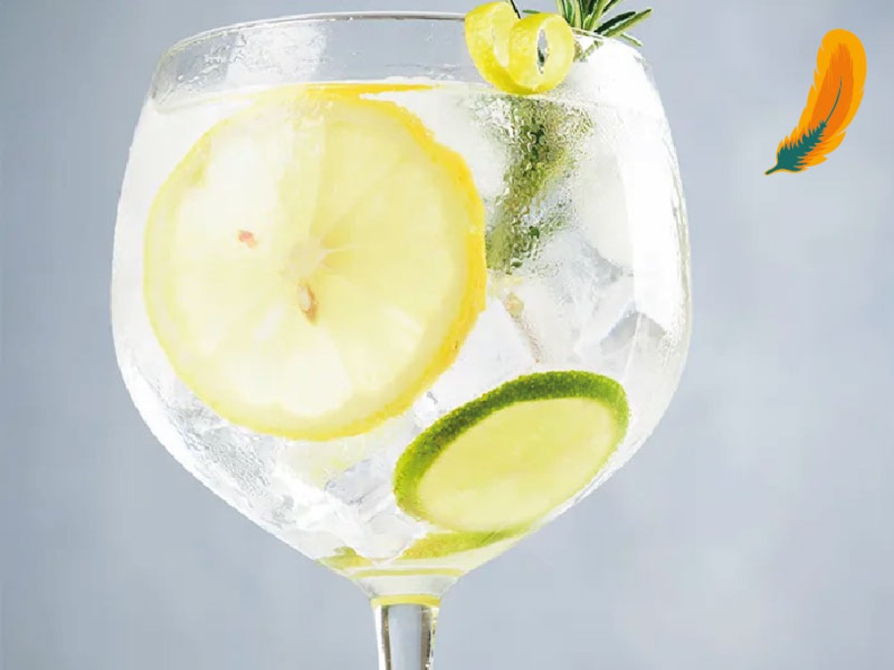Gin Tonic