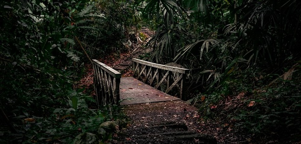 Amenidad caminata