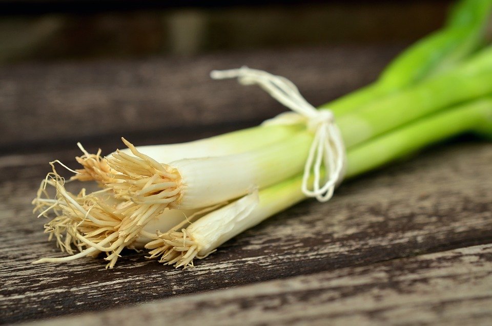 Зелена цибуля / Green onions, 20g