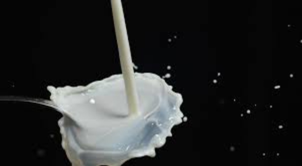 Молоко безлактозне 75г БАР
