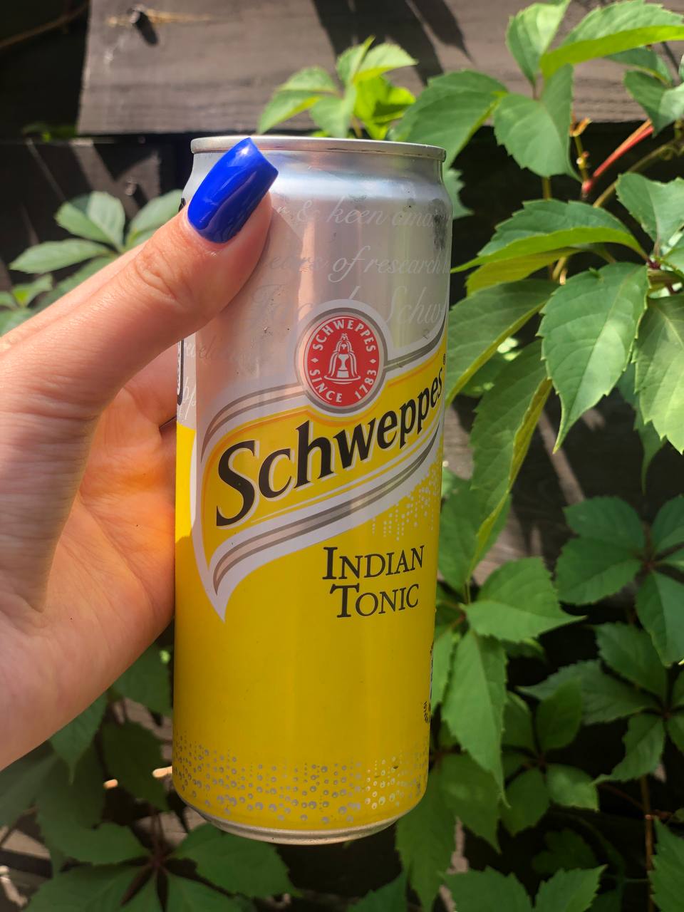 Schweppes 0,3