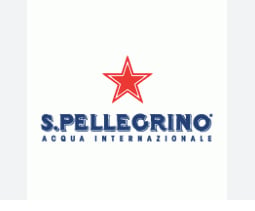 San Pelegrino Sprakling drinks /Clementina/Aranciata/Limonata  330 ml Italy