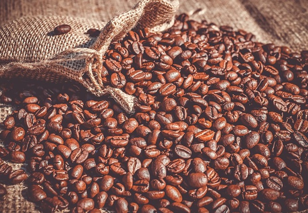 Bumblebee Coffee/ Шмель