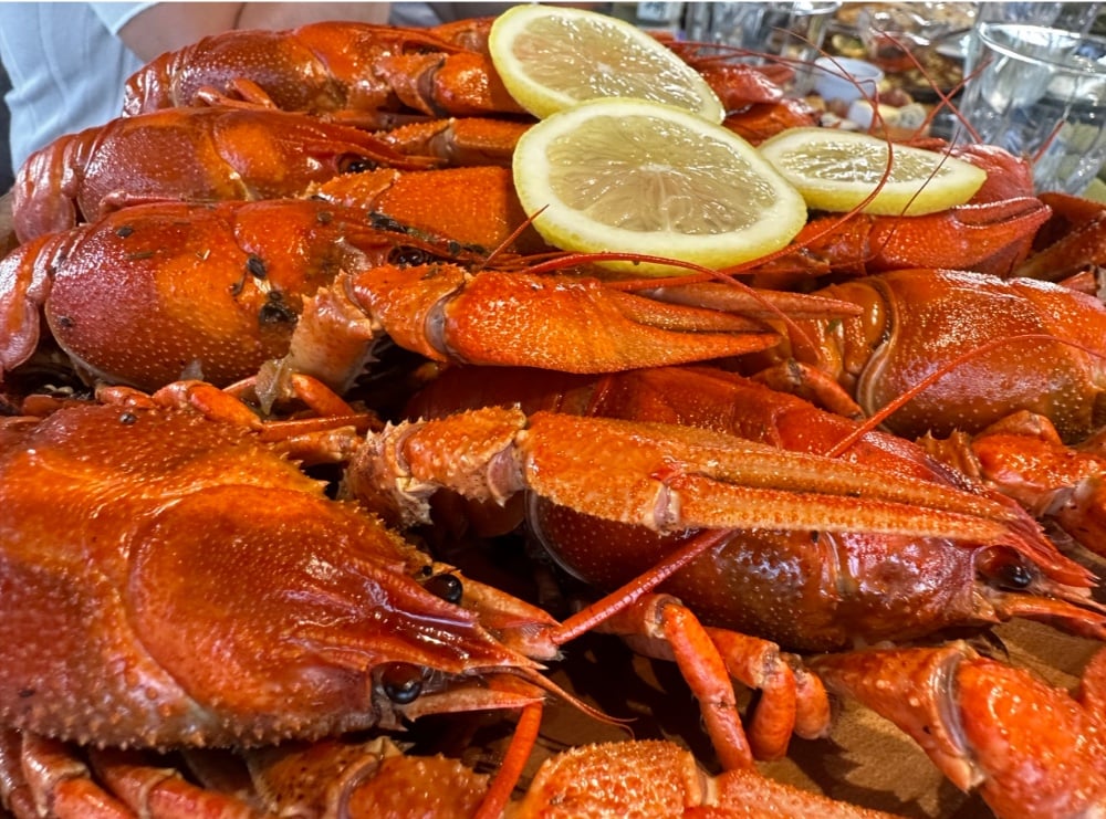 Раки великі