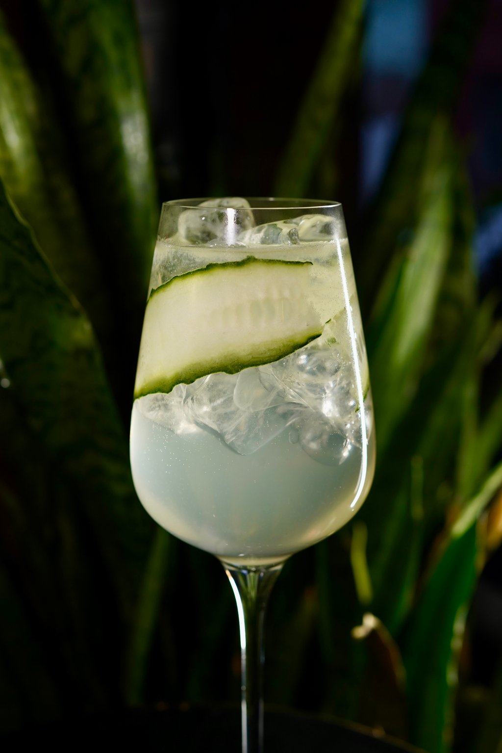 Gin Garden