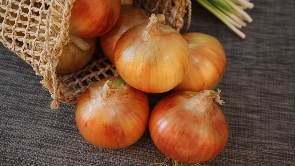 Овочі гриль цибуля