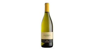 Pinot Grigio. Сухе