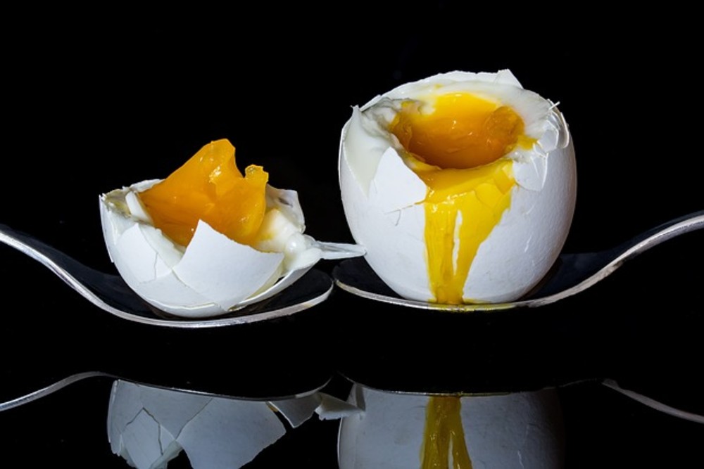 W Boiled egg