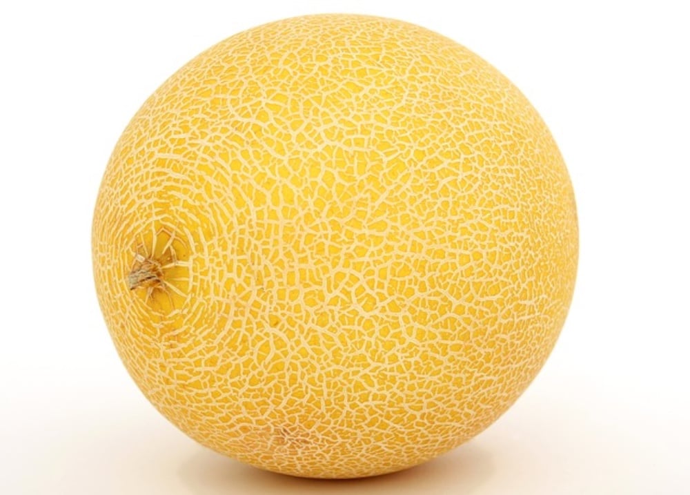 Melon cordinal