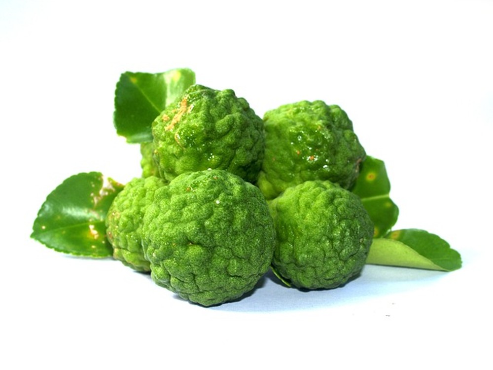 71 Black Tea with Bergamot, pot