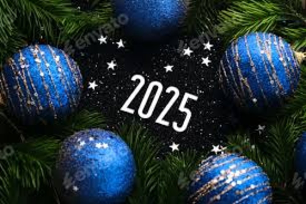 Cena Fin de Año Vegana 2024
