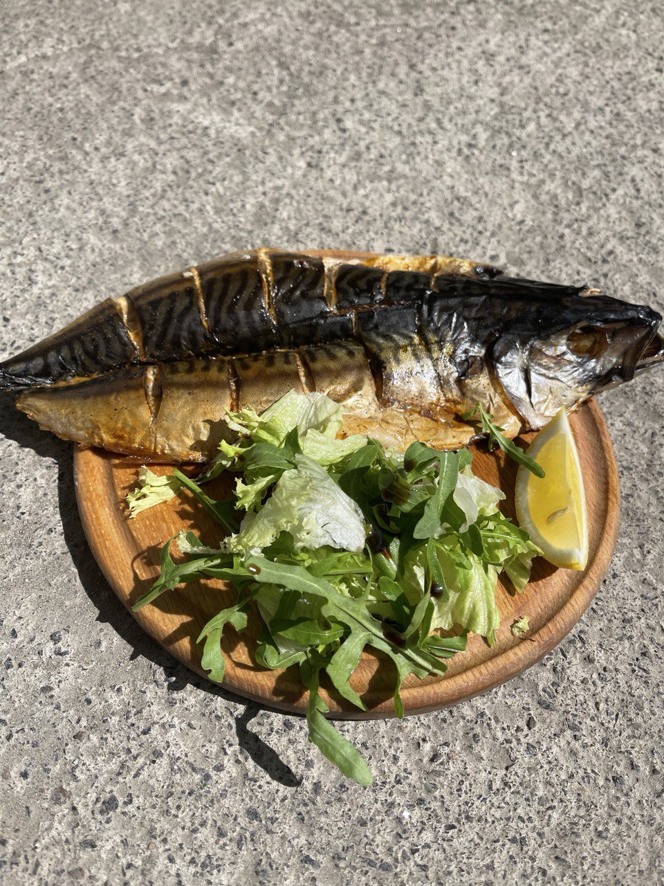 Скумбрія
