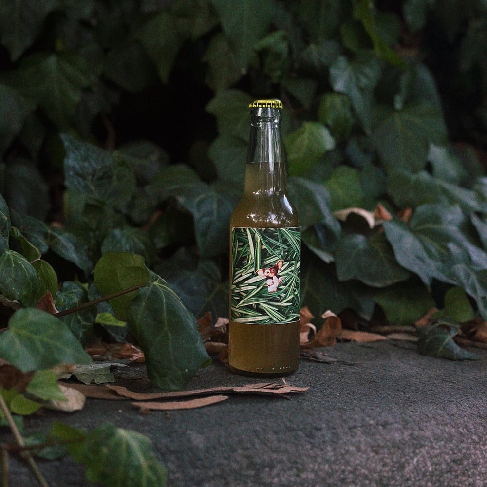 Kombucha Rosemary