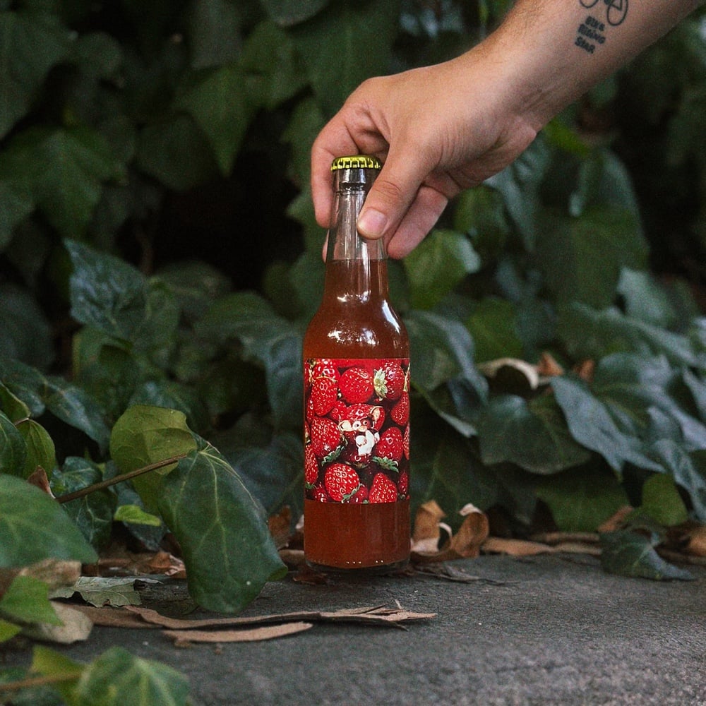 Kombucha Strawberry & Mint
