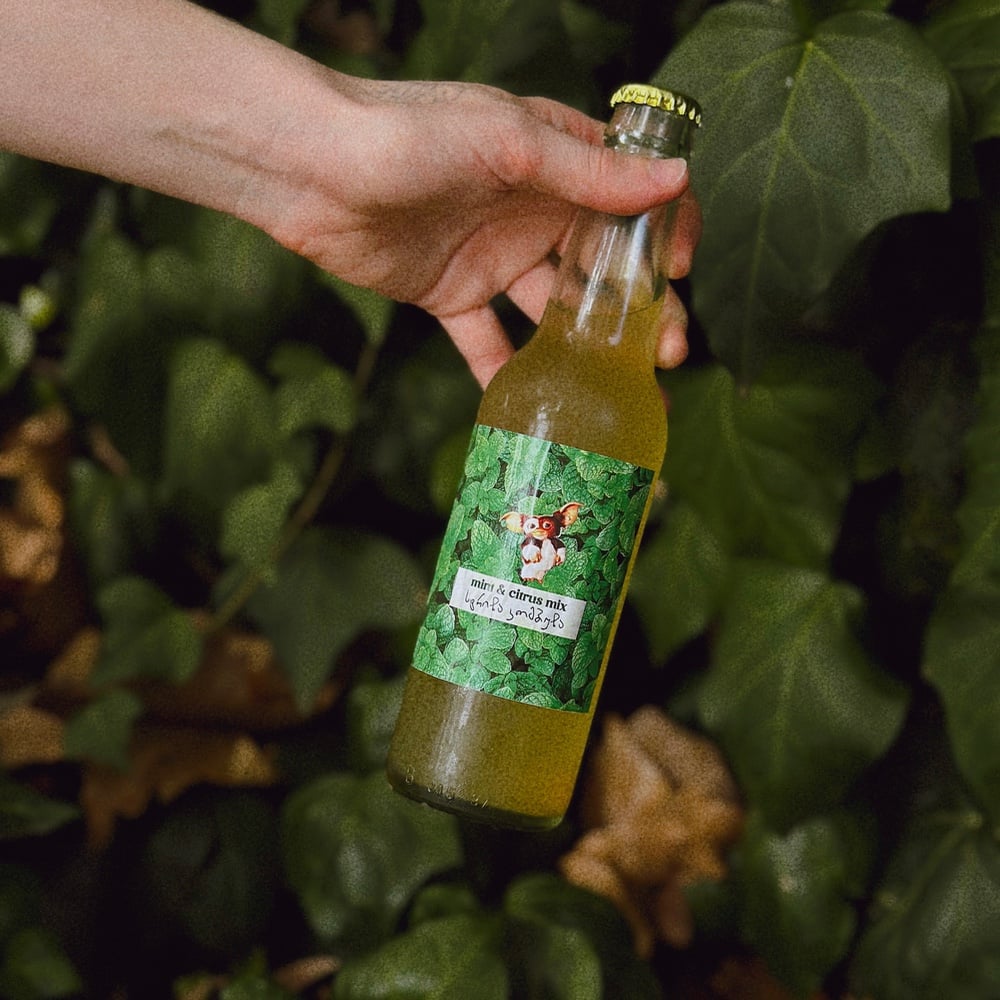 Kombucha Mint & Citrus mix