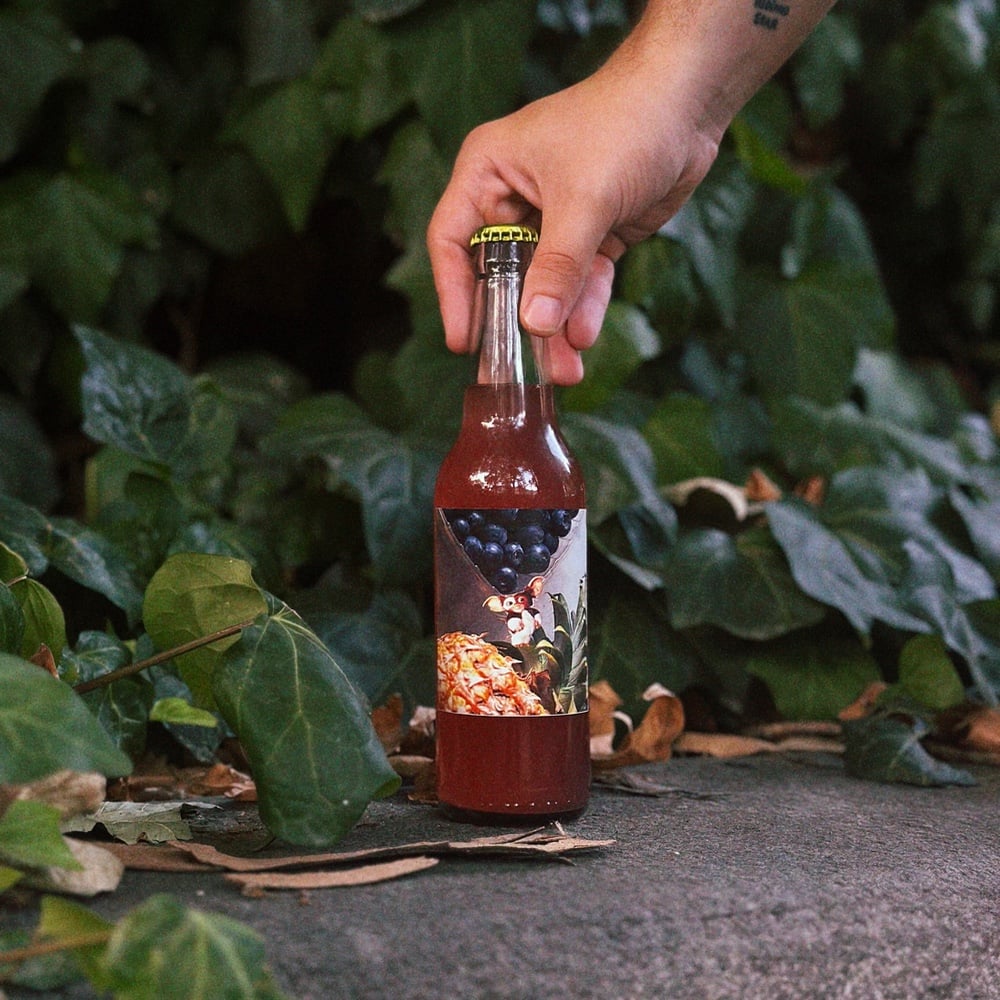 Kombucha Blueberry & Pineapple